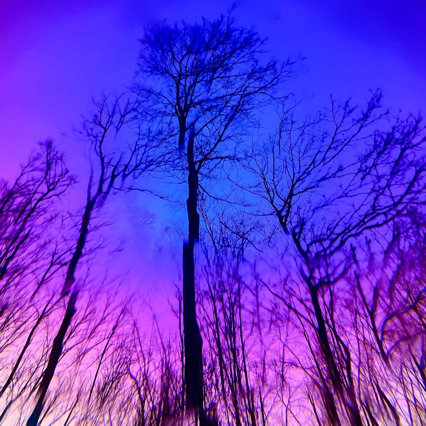 Manifestation