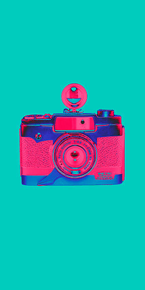 Petripink
