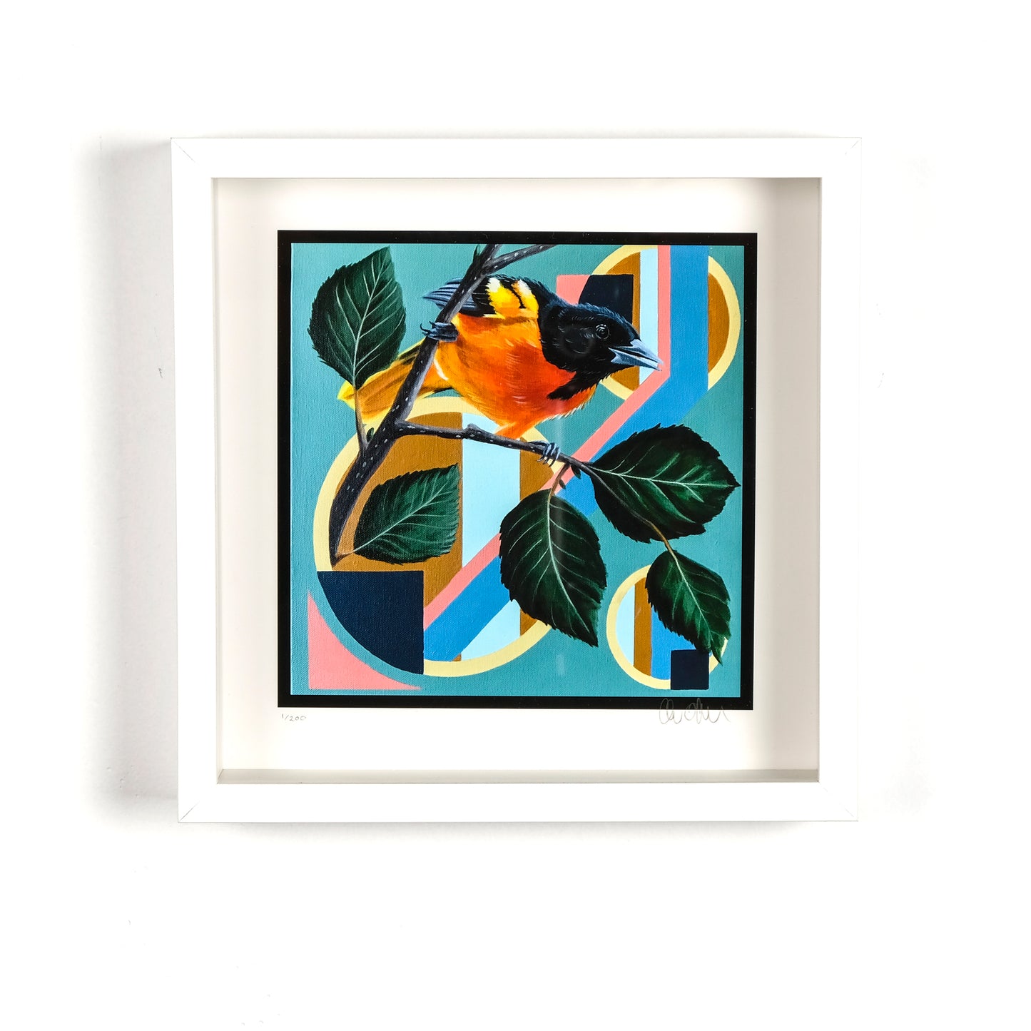 Birch Perch