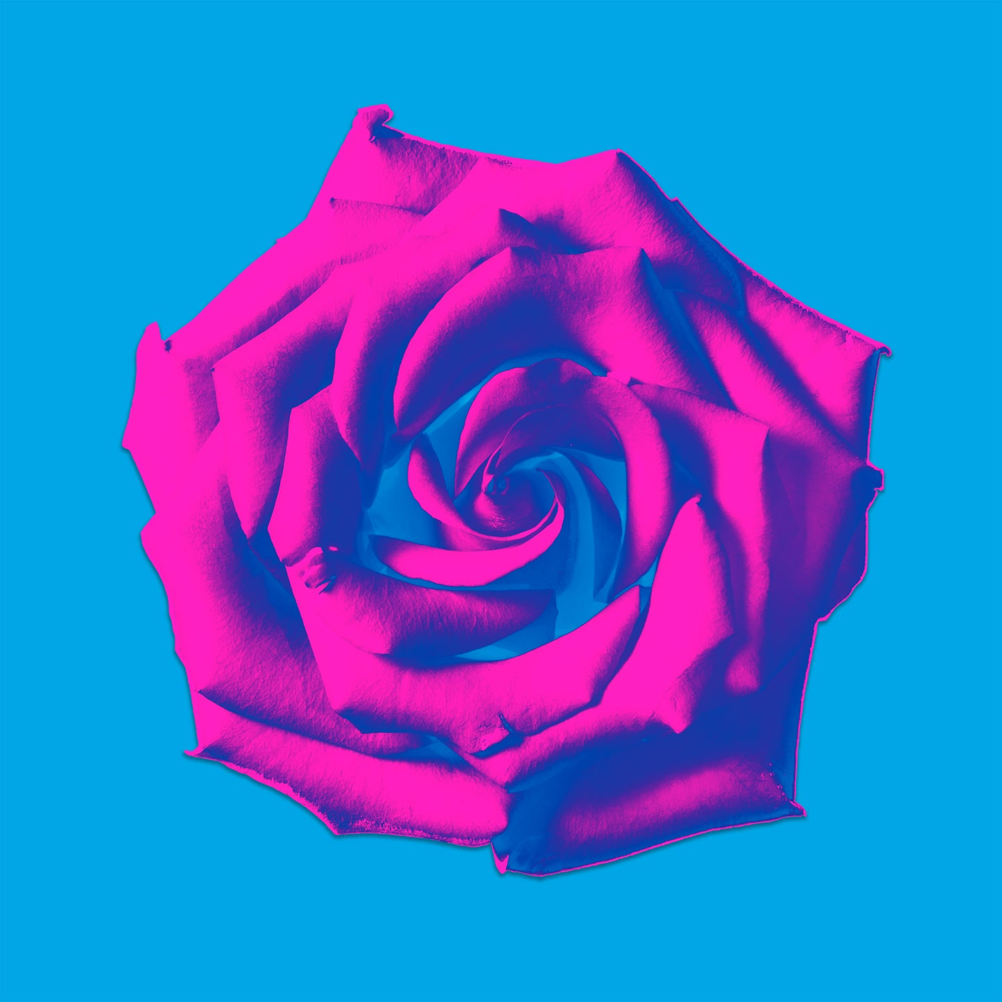 Resin workshop